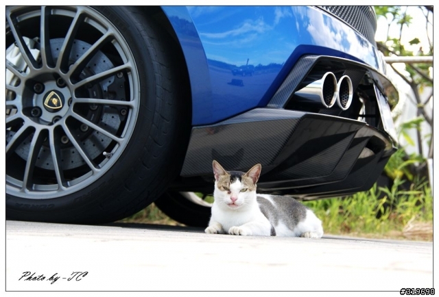 很會跑的車