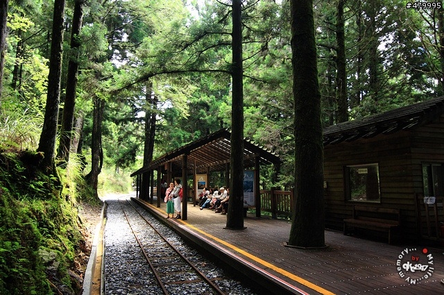 2012-06-24 帶著悲劇色彩的太平山之旅......