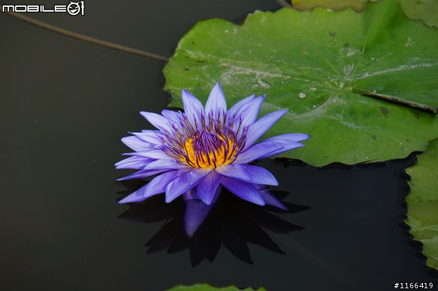 給自己的生日禮物...TAMRON e18-200快速開箱+實拍