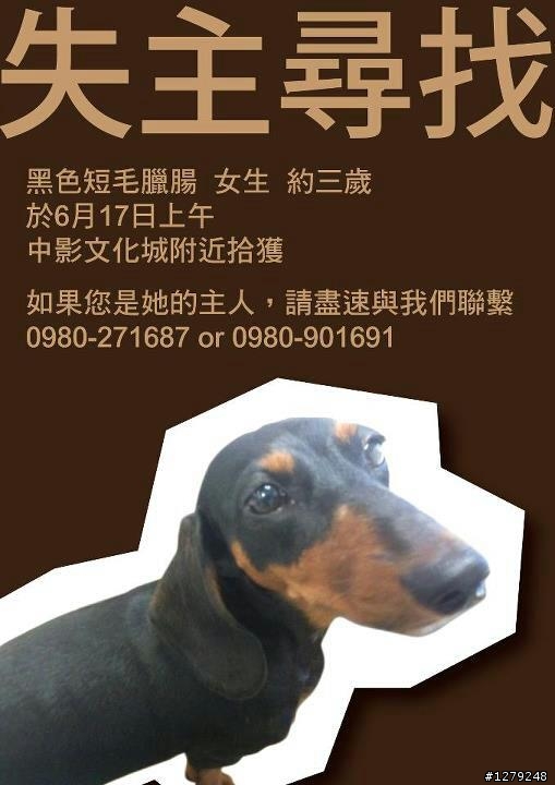 請大家幫幫忙找主人!!