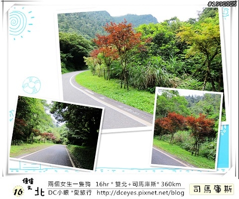 (更新完畢)兩個女生一隻狗●16hr *雙北+司馬庫斯* (360km)