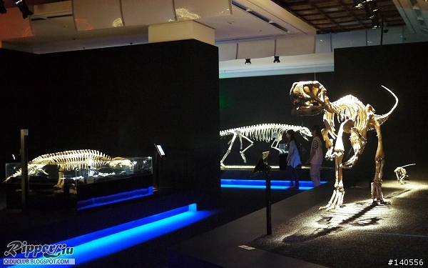 展覽「地球最古老的恐龍展」，霸主歸來...