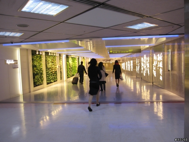 五天四夜峇里島蜜月之旅
