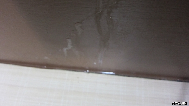 請協助~買了2年的透天房 窗邊一直漏水 如何向建商爭取改善