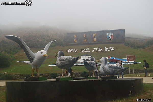 【東引力‧慢旅行】安東坑道~跟黑尾燕鷗說Hello!
