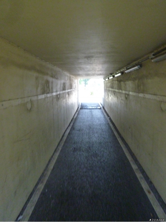 大白LG趴趴走(高雄愛河之心篇)