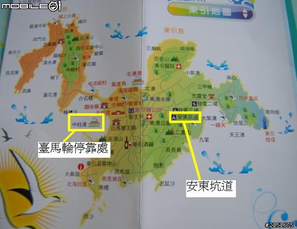 【東引力‧慢旅行】安東坑道~跟黑尾燕鷗說Hello!