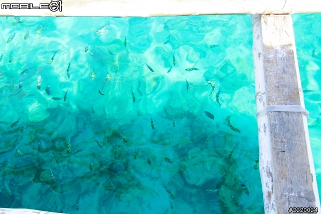 2012/6 飛進心菲 《宿霧、資生堂島、薄荷島》