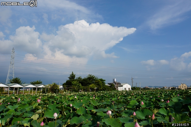 給自己的生日禮物...TAMRON e18-200快速開箱+實拍