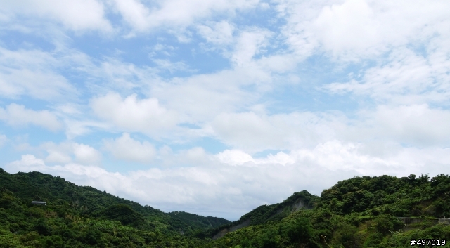 樹蛙 & 角鴞 . 夏夜交響曲 * 台東長濱 . 竹湖山居