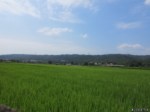 省道一姐輕省生活，Beautiful Sunday