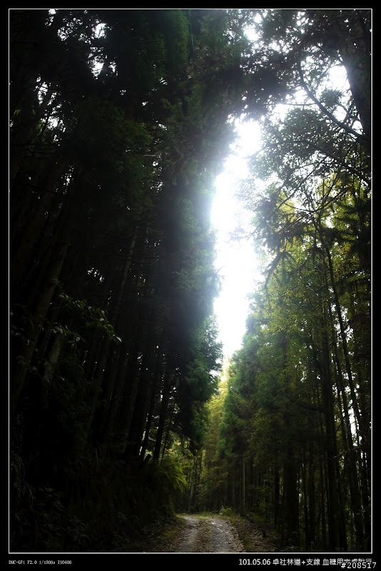 2012.05.06 卓社林道