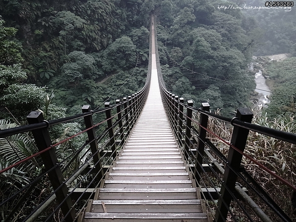 ♥走走逛逛♥ 南投竹山天梯