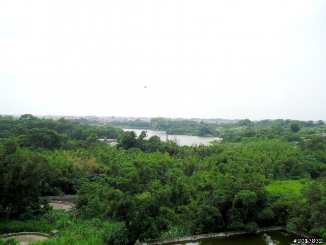 2012-6-1南瀛深度探訪之旅(關廟新光彩繪社區)