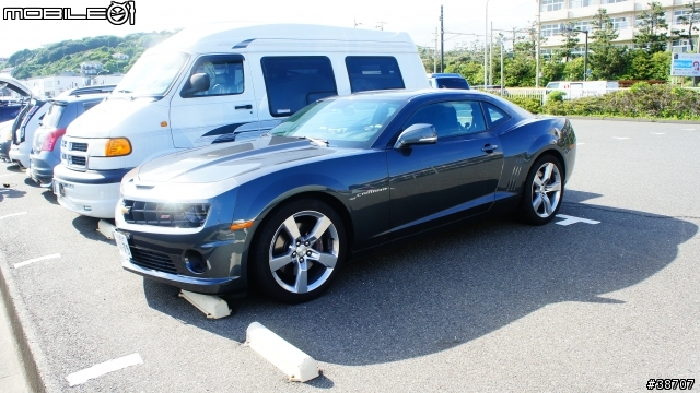 在日本看到的灰色大黃蜂XD