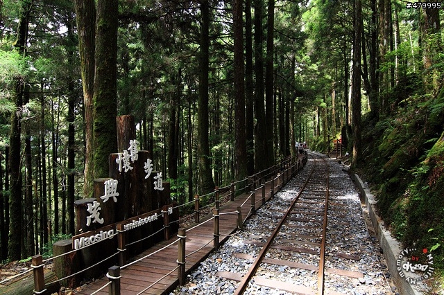 2012-06-24 帶著悲劇色彩的太平山之旅......