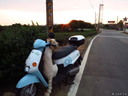 省道一姐輕省生活，Beautiful Sunday
