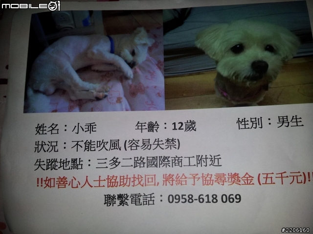 [協尋](高雄市)請幫幫忙  找尋我們家的家人