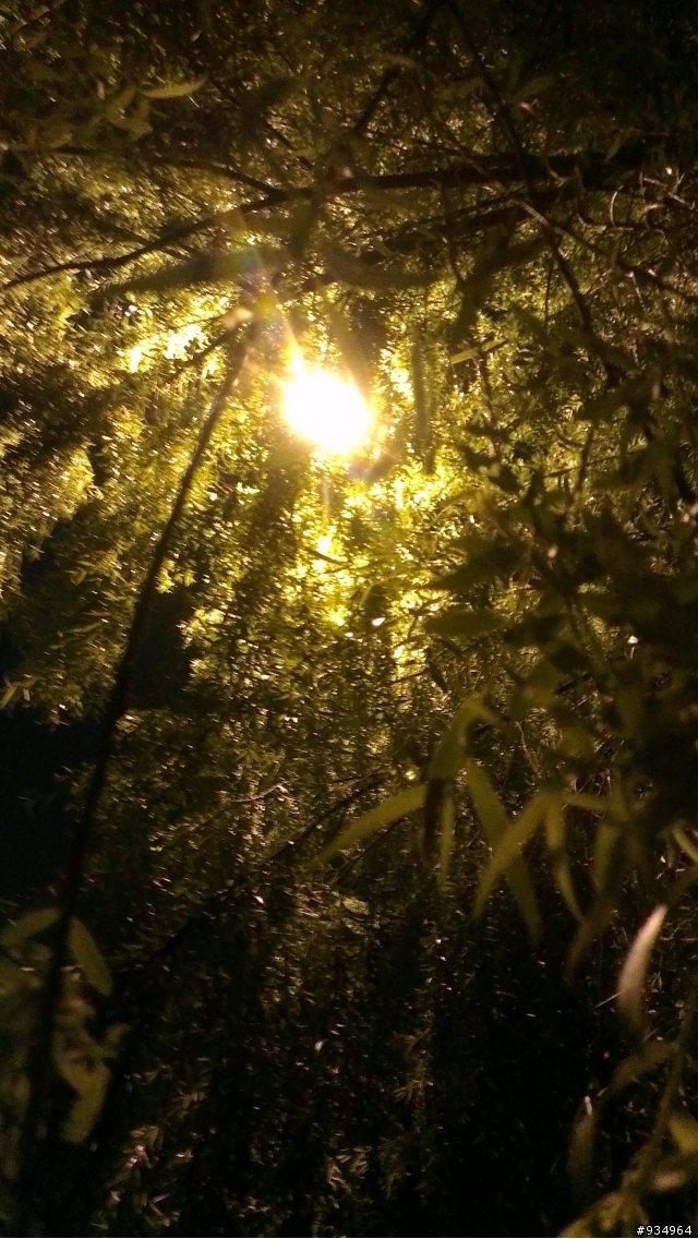 HTC ONE X  照相 (圖)