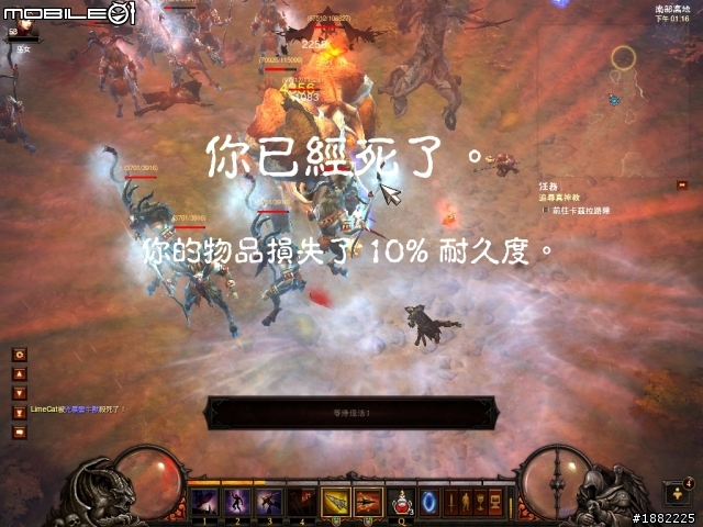 沒想到單人也會看到這種場景