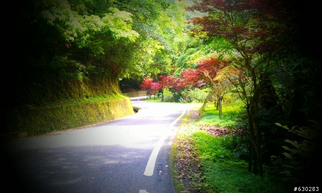 20120602 北橫 TIMEGO 紀錄行車軌跡與拍照的位置