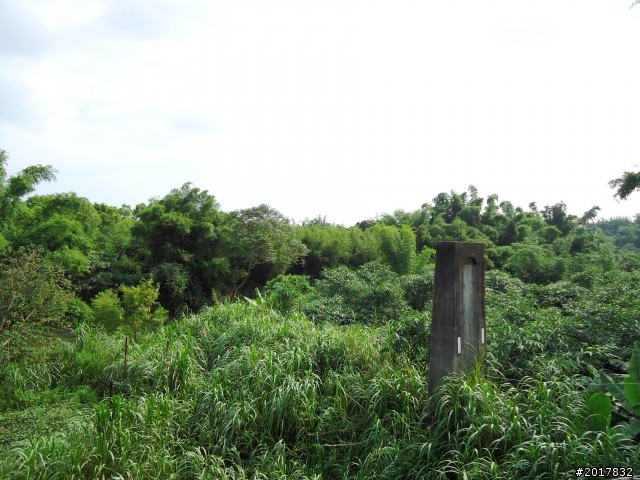 2012-6-1南瀛深度探訪之旅(關廟新光彩繪社區)