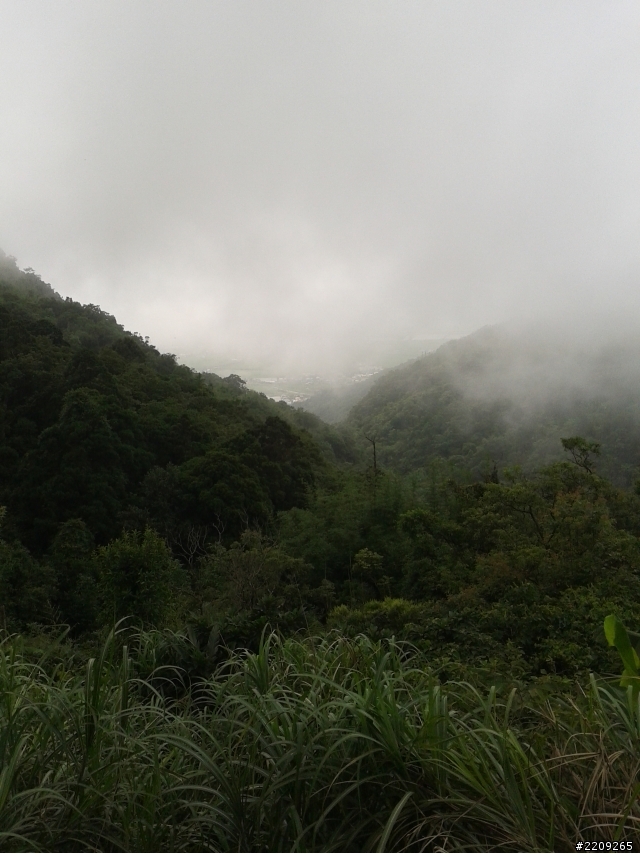 敗部復活~環半島夢...殘念