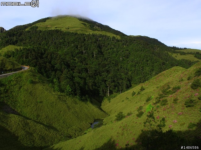 20120609合歡北峰花況(更新完畢)