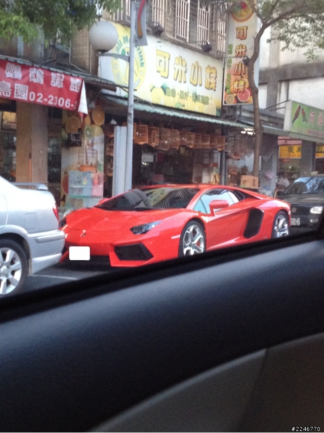 回家的路上看到新牛