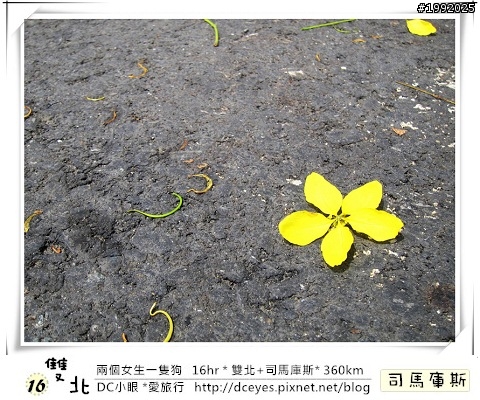 (更新完畢)兩個女生一隻狗●16hr *雙北+司馬庫斯* (360km)
