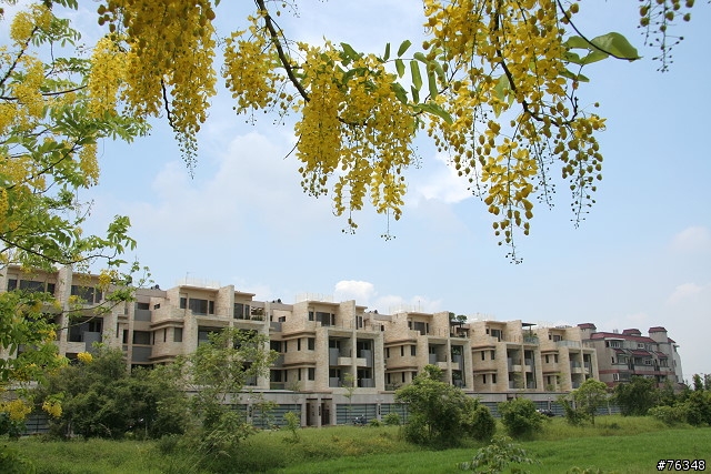 高快速公路最美八景第一名~國姓交流道「橋聳雲天」