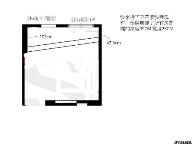 求救~天花板的大樑貫穿所有房間(補圖)