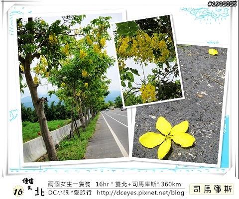 (更新完畢)兩個女生一隻狗●16hr *雙北+司馬庫斯* (360km)