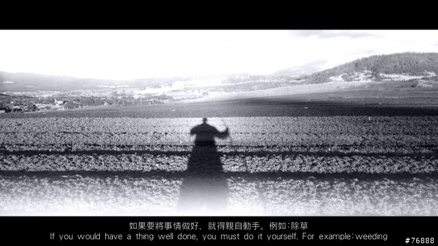 請各位大大幫我評分一下我拍的照片 Part2