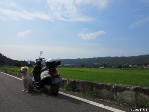 省道一姐輕省生活，Beautiful Sunday