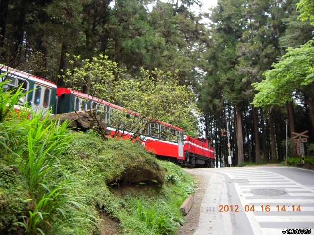 失敗的阿里山之旅"一個老阿伯的機車旅遊分享記之"(4)