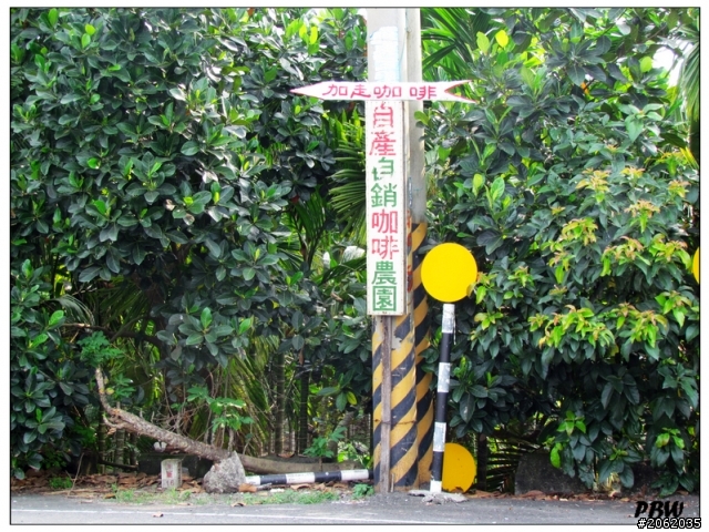 《屏東》沿山公路43K【加走咖啡園】