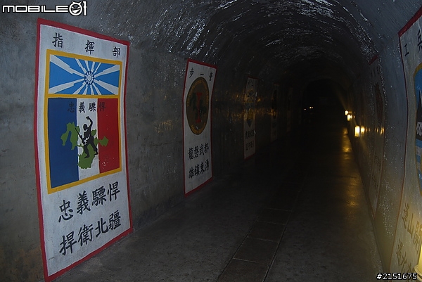 【東引力‧慢旅行】安東坑道~跟黑尾燕鷗說Hello!