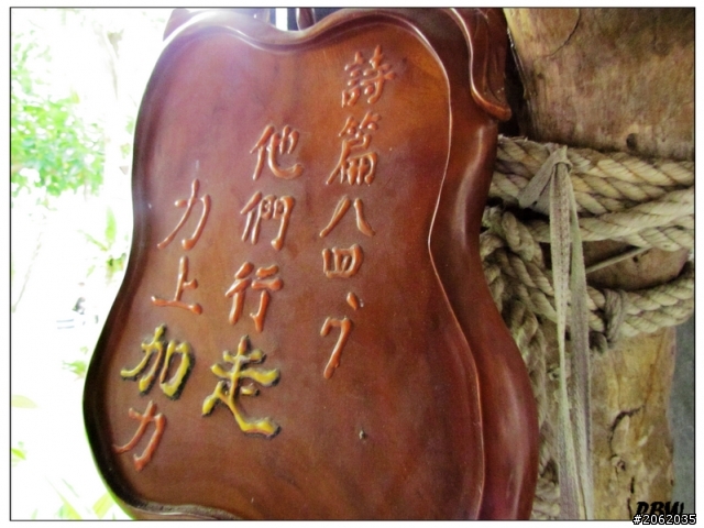 《屏東》沿山公路43K【加走咖啡園】