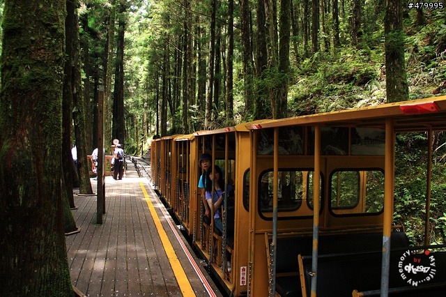 2012-06-24 帶著悲劇色彩的太平山之旅......