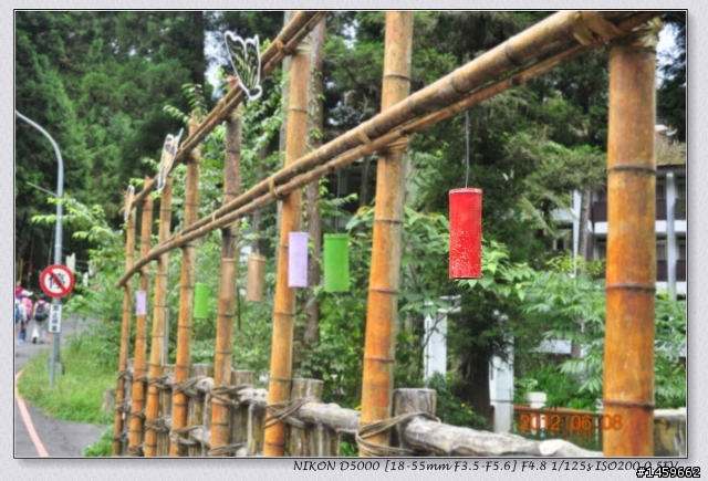 溪頭+妖怪村+上山閱讀