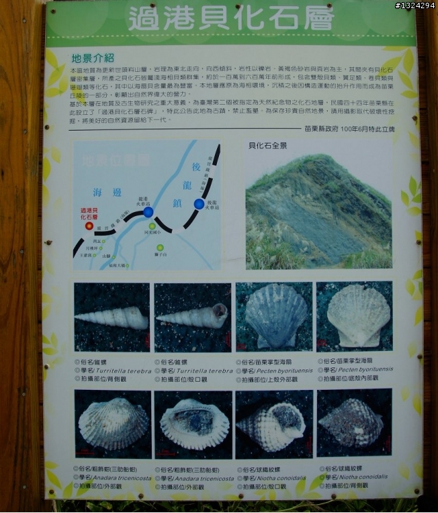外埔漁港 ~ 好望角 (濱海自行車道、同興老街、公司寮漁港、好望角、off road 、拍火車、舊鐵道、隧道、海角樂園、過港貝殼化石、鄭崇和墓、黑輪伯 + 杏仁露)