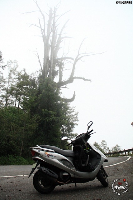 2012-06-24 帶著悲劇色彩的太平山之旅......