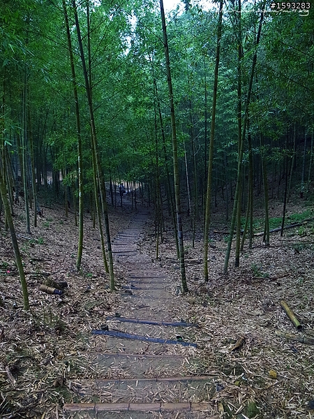 ♥走走逛逛♥ 南投竹山天梯