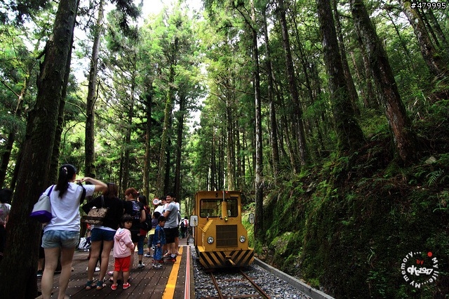 2012-06-24 帶著悲劇色彩的太平山之旅......
