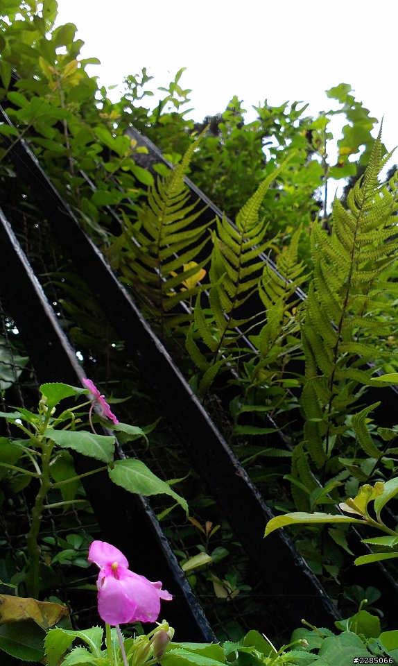 I<3HTC - HTC One V - 拍照合集9/26隨手拍