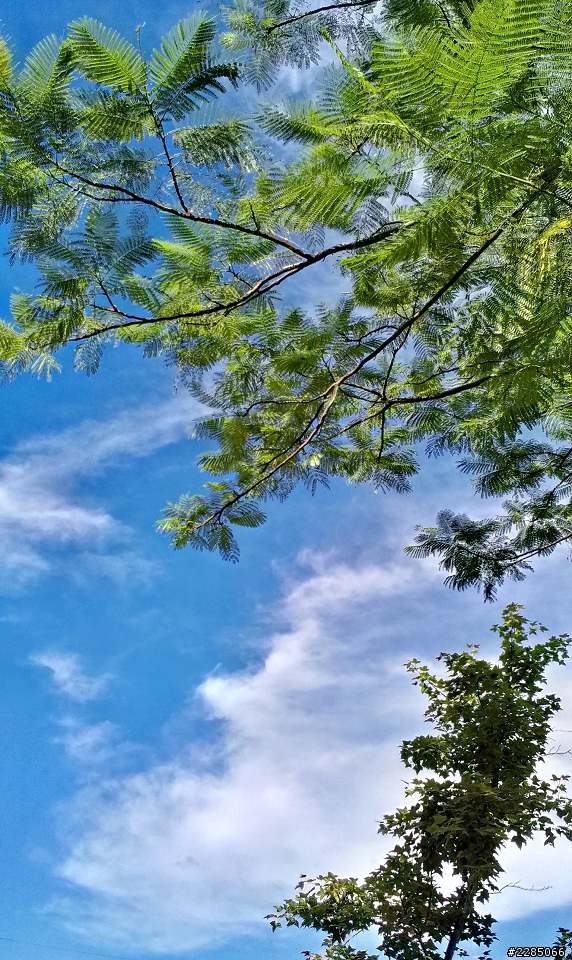 I<3HTC - HTC One V - 拍照合集9/26隨手拍