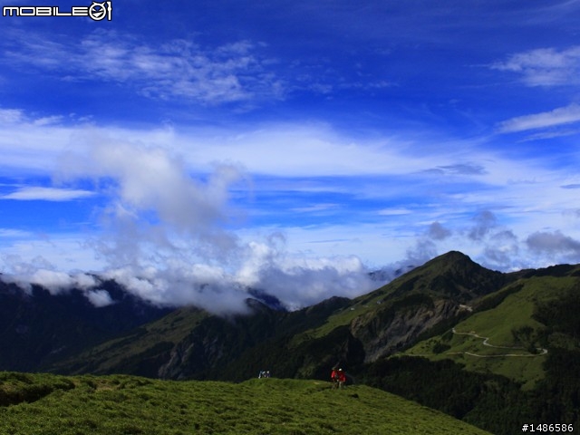 20120609合歡北峰花況(更新完畢)