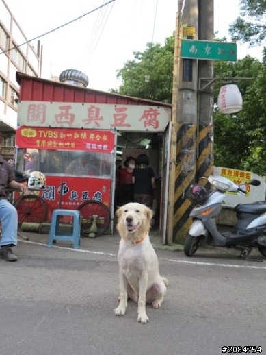 省道一姐輕省生活，Beautiful Sunday