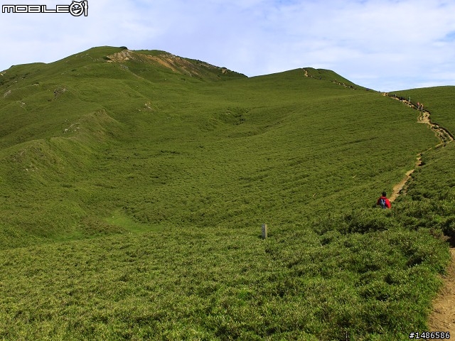 20120609合歡北峰花況(更新完畢)